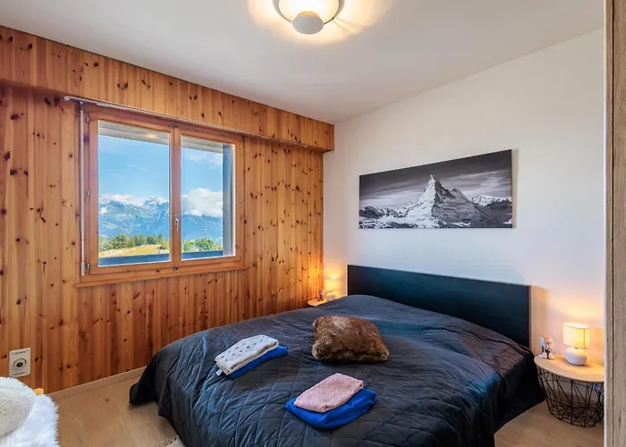 Chaedoz 21-2 - 4 Pers - Au Calme Nendaz